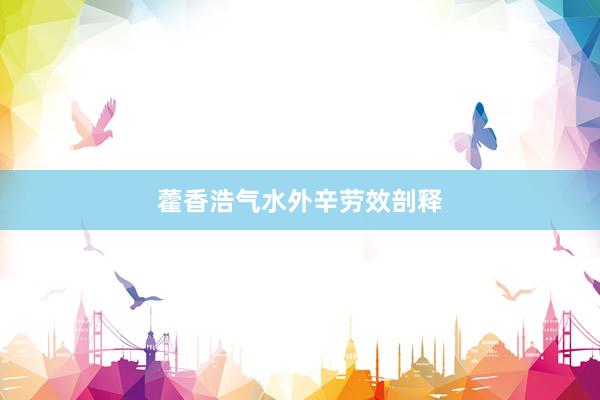 藿香浩气水外辛劳效剖释