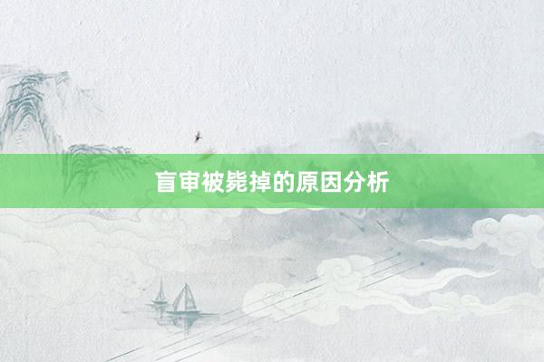 盲审被毙掉的原因分析