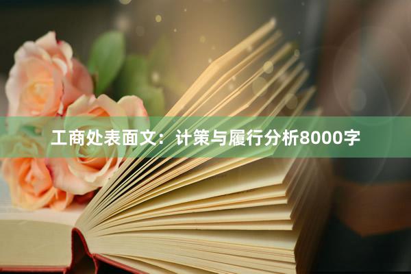 工商处表面文：计策与履行分析8000字
